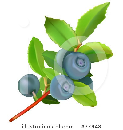Royalty-Free (RF) Blueberry Clipart Illustration by dero - Stock Sample #37648