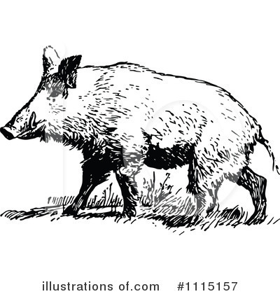 Royalty-Free (RF) Boar Clipart Illustration by Prawny Vintage - Stock Sample #1115157