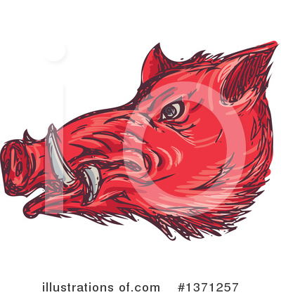 Royalty-Free (RF) Boar Clipart Illustration by patrimonio - Stock Sample #1371257
