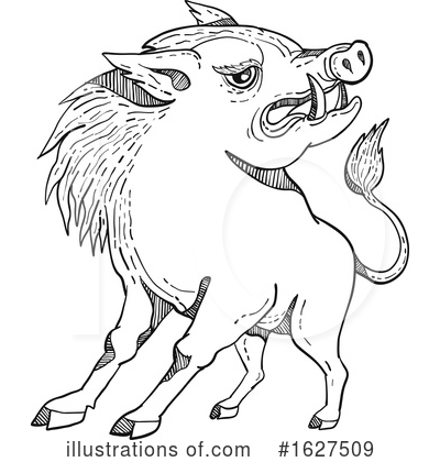 Royalty-Free (RF) Boar Clipart Illustration by patrimonio - Stock Sample #1627509