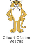 Bobcat Clipart #68785 by Mascot Junction