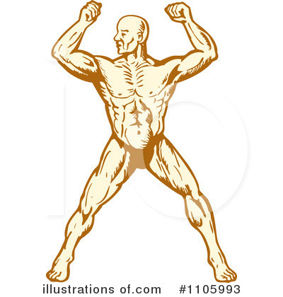 Anatomy Clipart #1105993 by patrimonio