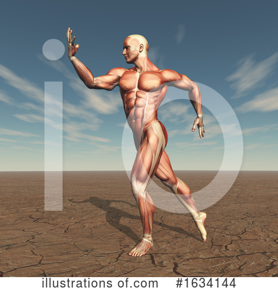 Royalty-Free (RF) Bodybuilder Clipart Illustration by KJ Pargeter - Stock Sample #1634144