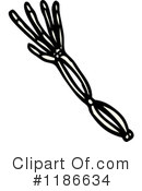 Bones Clipart #1186634 by lineartestpilot