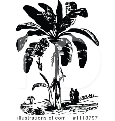 Royalty-Free (RF) Botanical Clipart Illustration by Prawny Vintage - Stock Sample #1113797
