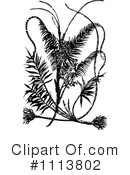 Botanical Clipart #1113802 by Prawny Vintage