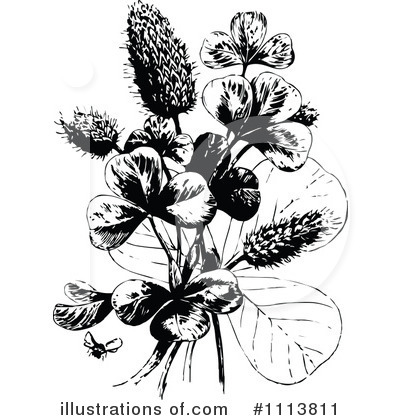 Flower Clipart #1113811 by Prawny Vintage