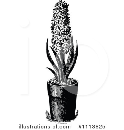 Royalty-Free (RF) Botanical Clipart Illustration by Prawny Vintage - Stock Sample #1113825