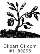 Botanical Clipart #1180296 by Prawny Vintage