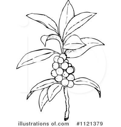 Royalty-Free (RF) Botany Clipart Illustration by Prawny Vintage - Stock Sample #1121379