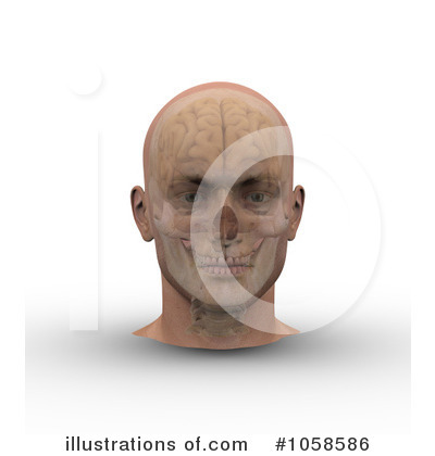 Head Clipart #1058586 by Michael Schmeling