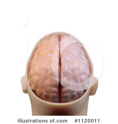 Royalty-Free (RF) Brain Clipart Illustration by Mopic - Stock Sample #1120011