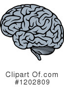 Brain Clipart #1202809 by Vector Tradition SM