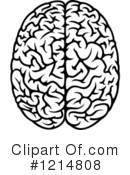 Brain Clipart #1214808 by Vector Tradition SM
