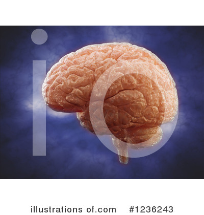 Royalty-Free (RF) Brain Clipart Illustration by Mopic - Stock Sample #1236243