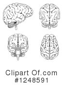 Brain Clipart #1248591 by AtStockIllustration