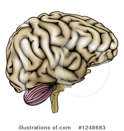 Royalty-Free (RF) Brain Clipart Illustration by AtStockIllustration - Stock Sample #1248683