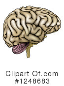 Brain Clipart #1248683 by AtStockIllustration