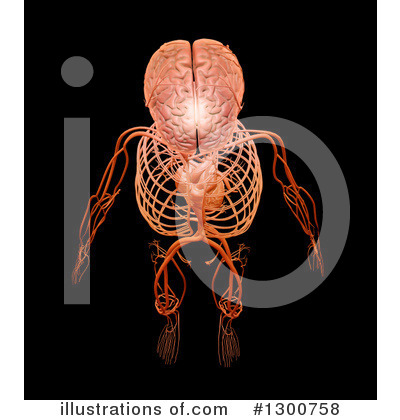Circulatory System Clipart #1300758 by Mopic