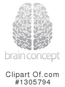 Brain Clipart #1305794 by AtStockIllustration