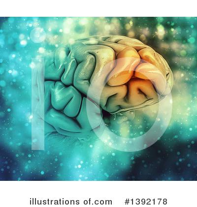 Brain Clipart #1392178 by KJ Pargeter