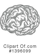 Brain Clipart #1396099 by Vector Tradition SM