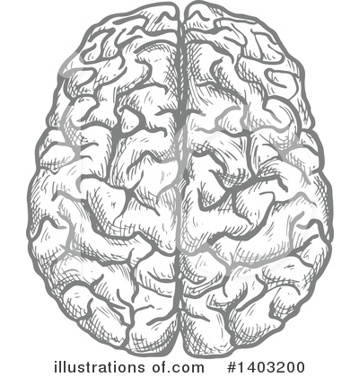 Brain Clipart #1214808 - Illustration by Vector Tradition SM