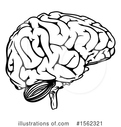 Royalty-Free (RF) Brain Clipart Illustration by AtStockIllustration - Stock Sample #1562321