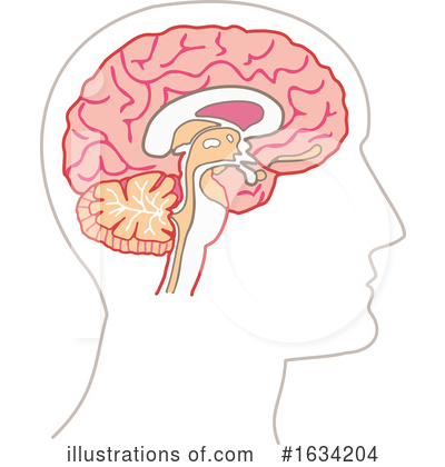 Royalty-Free (RF) Brain Clipart Illustration by NL shop - Stock Sample #1634204