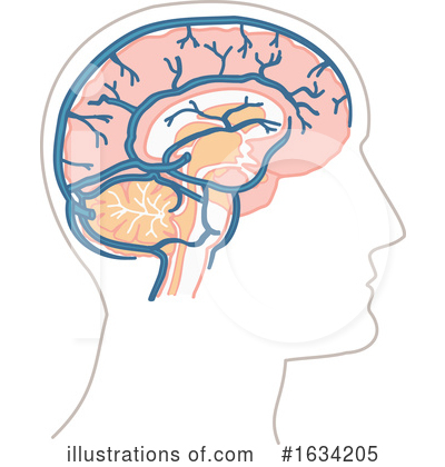 Royalty-Free (RF) Brain Clipart Illustration by NL shop - Stock Sample #1634205