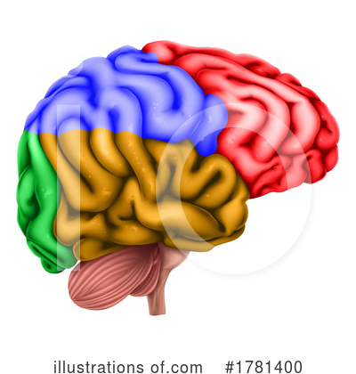 Royalty-Free (RF) Brain Clipart Illustration by AtStockIllustration - Stock Sample #1781400