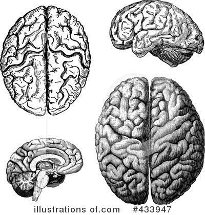 Royalty-Free (RF) Brain Clipart Illustration by BestVector - Stock Sample #433947
