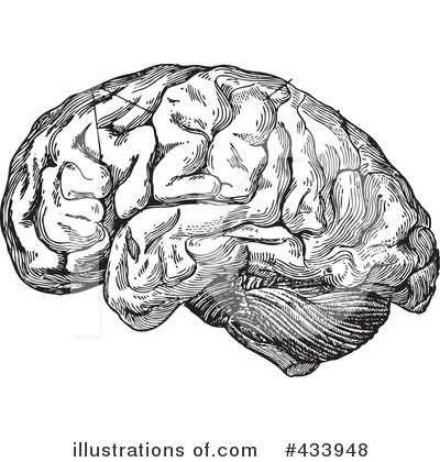Royalty-Free (RF) Brain Clipart Illustration by BestVector - Stock Sample #433948