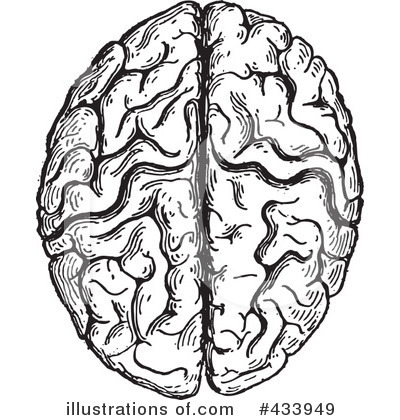 Royalty-Free (RF) Brain Clipart Illustration by BestVector - Stock Sample #433949