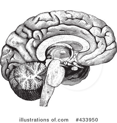 Royalty-Free (RF) Brain Clipart Illustration by BestVector - Stock Sample #433950