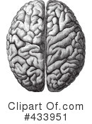 Brain Clipart #433951 by BestVector