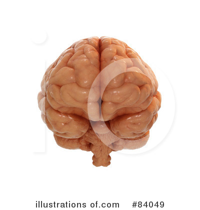 Royalty-Free (RF) Brain Clipart Illustration by Mopic - Stock Sample #84049