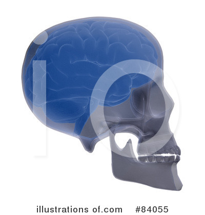 Royalty-Free (RF) Brain Clipart Illustration by Mopic - Stock Sample #84055