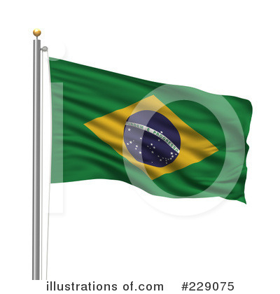 Brazil Clipart #229075 by stockillustrations