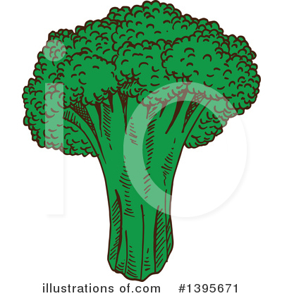 Royalty-Free (RF) Broccoli Clipart Illustration by Vector Tradition SM - Stock Sample #1395671