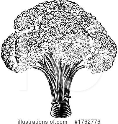 Royalty-Free (RF) Broccoli Clipart Illustration by AtStockIllustration - Stock Sample #1762776