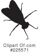 Bugs Clipart #225571 by KJ Pargeter