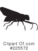 Bugs Clipart #225572 by KJ Pargeter