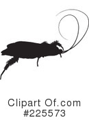 Bugs Clipart #225573 by KJ Pargeter