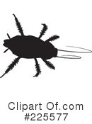 Bugs Clipart #225577 by KJ Pargeter
