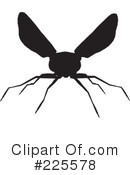 Bugs Clipart #225578 by KJ Pargeter