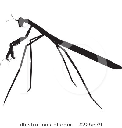 Royalty-Free (RF) Bugs Clipart Illustration by KJ Pargeter - Stock Sample #225579
