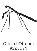 Bugs Clipart #225579 by KJ Pargeter