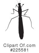 Bugs Clipart #225581 by KJ Pargeter