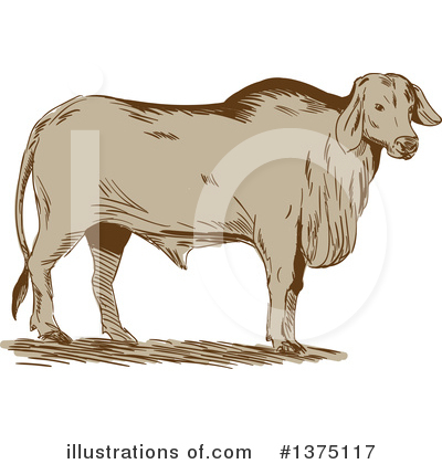 Royalty-Free (RF) Bull Clipart Illustration by patrimonio - Stock Sample #1375117